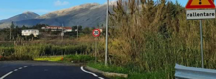 inCollage_20210109_120057376