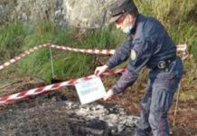 Tortora, rifiuti: Denunciata una persona