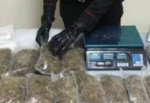 4 chili di Marijuana a casa: arrestato un 53enne