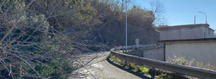 inCollage_20210116_134348247