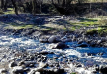 Reati ambientali: due denunce in Calabria