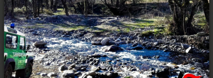 inCollage_20210124_122228879