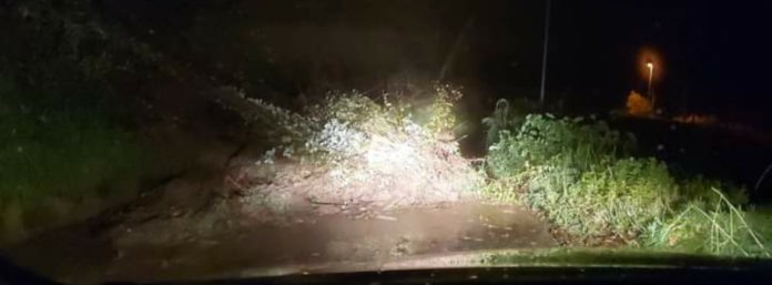 inCollage_20210131_194052438