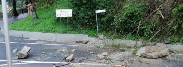 inCollage_20210201_141944578