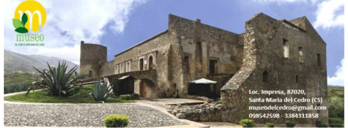 inCollage_20210202_132015065