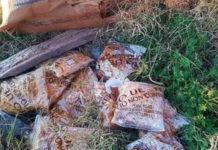 Praia a Mare, ancora pacchi alimentari abbandonati sulla spiaggia