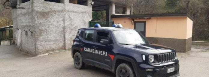 inCollage_20210206_074051976