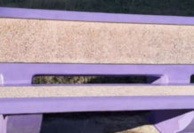 GIORNATA INTERNAZIONALE CONTRO L’EPILESSIA. A SCALEA LA PANCHINA VIOLA DELL’AICE