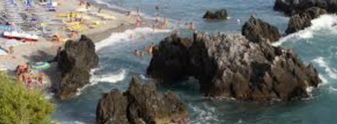 inCollage_20210211_113843854