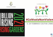 Cetraro, il comune aderisce all’iniziativa “Coltiviamo la non violenza”