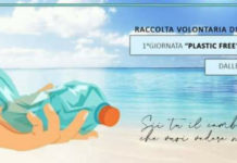 Cetraro “SELF TOUR PLASTIC FREE” la prima giornata per liberare la spiaggia dalla plastica