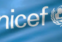 Maria Antonietta Ventura nuovo Presidente del Comitato Regionale UNICEF Calabria