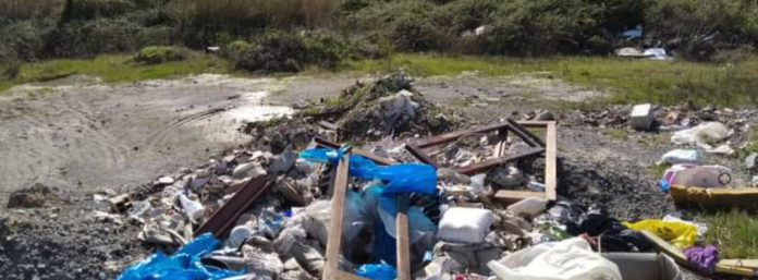 inCollage_20210220_120853655