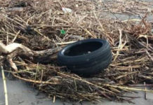 PRAIA A MARE, GIORNATA ECOLOGICA A TUTELA DELLA SPIAGGIA E DEL MARE
