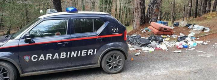 inCollage_20210228_085026138