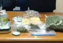 Piantine di Marijuana sul balcone,misure cautelari sul Tirreno Cosentino