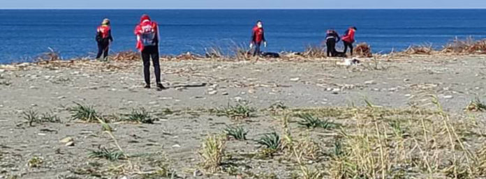 inCollage_20210301_215108930