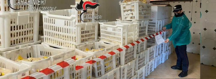 inCollage_20210302_083108081