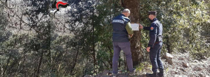 inCollage_20210302_084111649