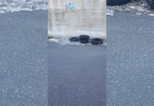 San Lucido, l’amministrazione pronta a mettere in campo nuove soluzioni contro abbandono rifiuti