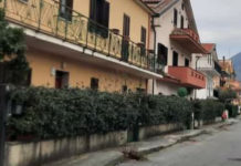 Tortora: Abbattuti 6 Tigli lungo il marciapiede in località Falconara