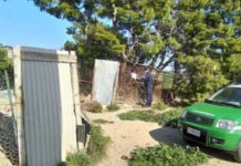 Abbandono di animali, Denunce e sequestri nella Provincia di Cosenza