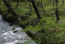 Italia Nostra dice NO alle centraline idroelettriche lungo il corso del fiume Abatemarco