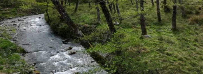 inCollage_20210319_103933211