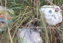 GRISOLIA. MULTATO PER ABBANDONO DEI RIFIUTI