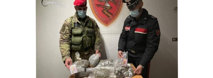 inCollage_20210322_181346400