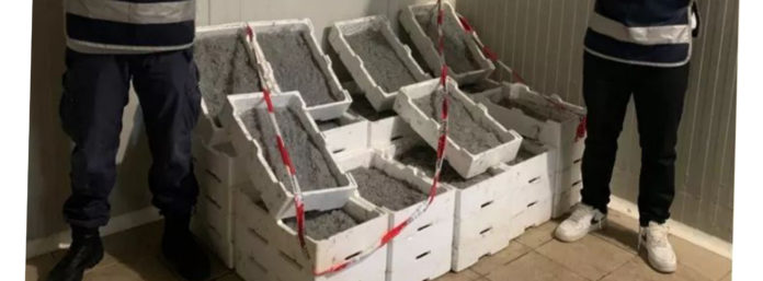 inCollage_20210401_211136561