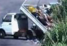 OPERAZIONE “MADRE NATURA”. 90 DENUNCIATI, 5 ARRESTI E 26 VEICOLI SEQUESTRATI