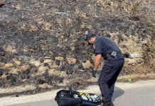 Incendio boschivo doloso: Una denuncia nel Cosentino