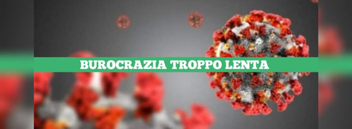 inCollage_20210412_143454163