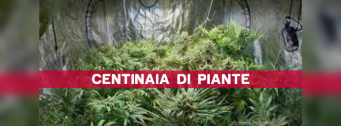 inCollage_20210413_133322957