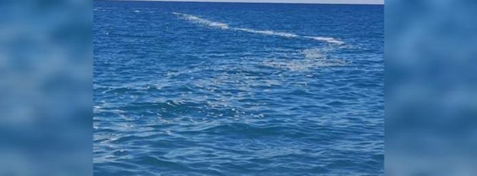 inCollage_20210413_205725761