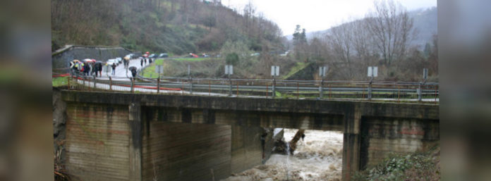 inCollage_20210415_115056337