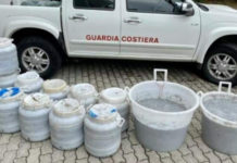 750 KG di novellame di Sarda sequestrati nella Provincia di Cosenza