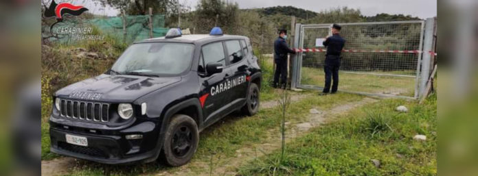 inCollage_20210420_131753322