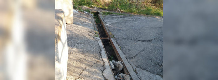 inCollage_20210421_091454083