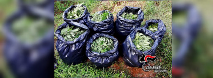 inCollage_20210421_143741397