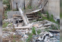 《AREA TRA DIAMANTE E GRISOLIA: UNA BOMBA ECOLOGICA ANCORA ATTIVA》