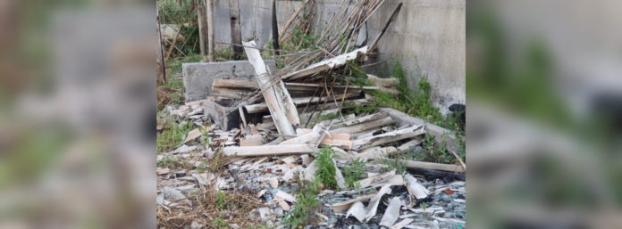 inCollage_20210426_094708810