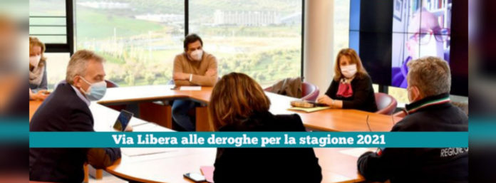 inCollage_20210427_190242701