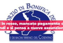 Di Natale “In piena emergenza covid nuove assunzioni al Consorzio di Bonifica Valle Lao di Scalea?”