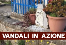 Cetraro, vandalizzata opera pubblica commemorativa, la rabbia del sindaco