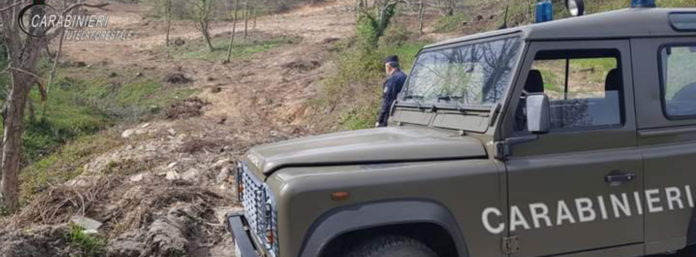 inCollage_20210503_231730440