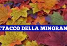 Cetraro “Una città che sta ingiallendo come foglie d’autunno”