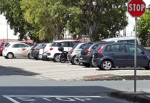 PRAIA A MARE, RIPRISTINATA LA SEGNALETICA ORIZZONTALE IN VIA ALFIERI
