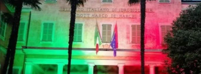 inCollage_20210525_202514724